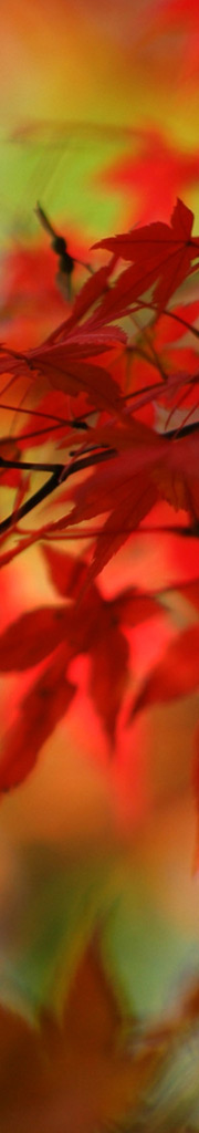 Hintergrund Lageplan